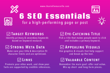 introduction to the SEO basics: 5 essentials for your SEO strategy
