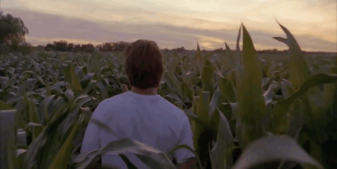 If you build it they will come is not true in content marketing which is why you need a great content distribution strategy:  gif of Kevin Costner walking in cornfield in movie Field of Dreams