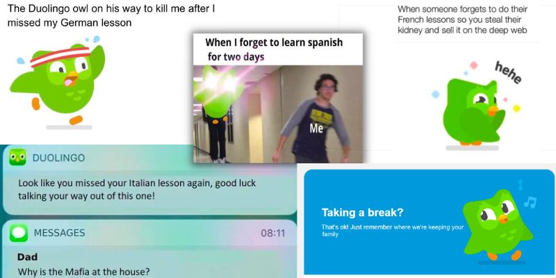the duolingo mascot, duo the evil owl, stars in memes showcasing him threatening users for missing language lessons on the app. it's a spoof on the company's use of passive aggressiveness and guilt marketing, a key part of their engagement and growth marketing case study strategy.